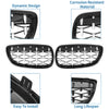 BMW 328xi 335xi 328i 335i xDrive Front Hood Grille Grill