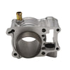 Honda CBR 125 R RW RT RS 125cc Cylinder Kit (2004-2017)