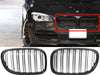 BMW F01 F02 F03 F04 Front Bumper Kidney Grille (2009-2015)