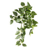 Home Decor 15" Faux Peperomia Watermelon Hanging Plants
