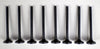 Freelander Exhaust Valves / 8