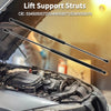 Lexus LS460 Base / L Sedan Hood Lift Supports Struts (2007-2012)