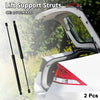 Kia Sedona Rear Hatch Lift Supports Struts (2006-2020)