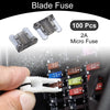 Car Boat Truck RV Motorcycle Micro Fuse 100 Pcs 2A Blade Fuse