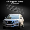 Nissan Sentra Rear Hatch Lift Supports (2007-2012)