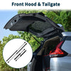 Dodge Intrepid Front Hood & Tailgate Lift Supports Struts Set (1998-2004)