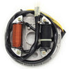 Kawasaki KFX80 Magneto Generator Stator Coil (2003-2006)