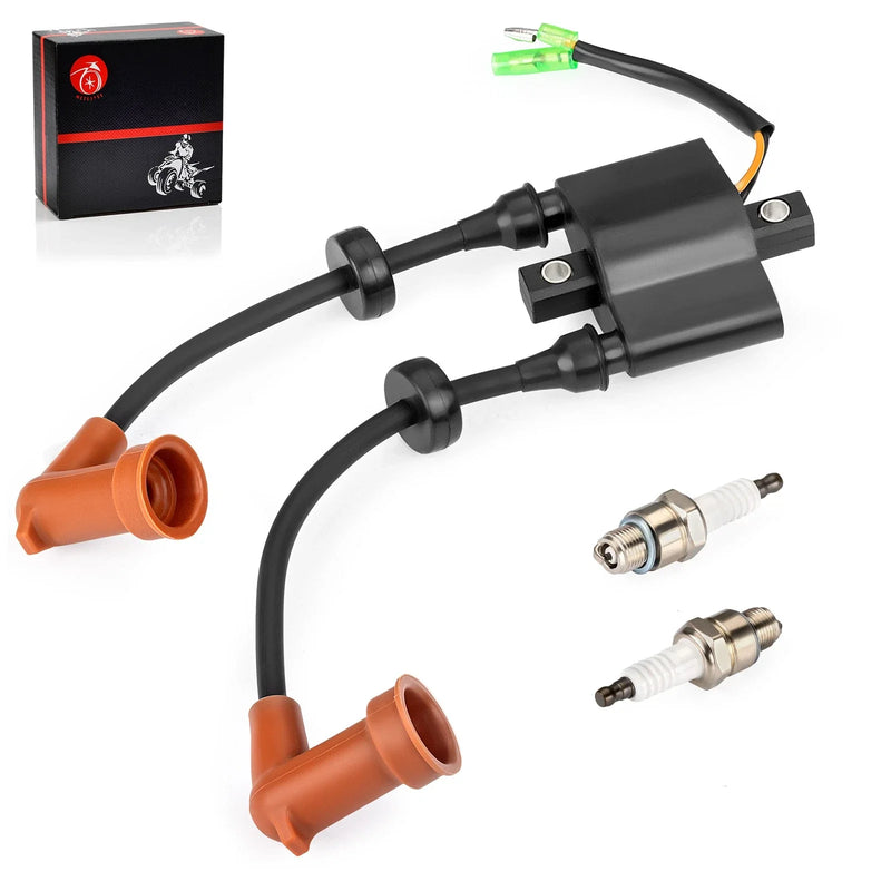 Yamaha Outboard F15 F20 F25 T25 Ignition coil Spark Plug (2006–2017)