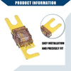 Car Motorcycle Audio - Gold Tone 5 x Mini ANL 175A Fuses (N/A)