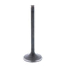 Intake Valve Honda Fourtrax 300 TRX300 (1988–2000)