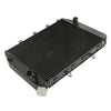 Kawasaki Ninja ZX12R Aluminum Radiator Engine Cooling (2002 - 2005)