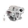 Honda Foreman / Pioneer TRX500 / TRX420 Cylinder Head (2005-2020)