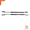 Toyota Sport Rider Rear Tailgate Assist Gas Strut (1998-2004)