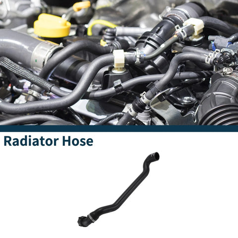 Porsche Cayenne Downpipe Radiator Hose (2003-2006)