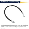 Honda Rear Right Brake Hose (2016-2023)