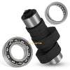 Yamaha Warrior Wolverine Big Bear Camshaft Assembly Bearings