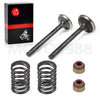 Club Car DS Precedent Golf Cart FE290 Valve Seal Kit (1992–2026)