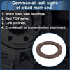 Toyota Prius C, Yaris Rear Crankshaft Oil Seal (2012-2017)