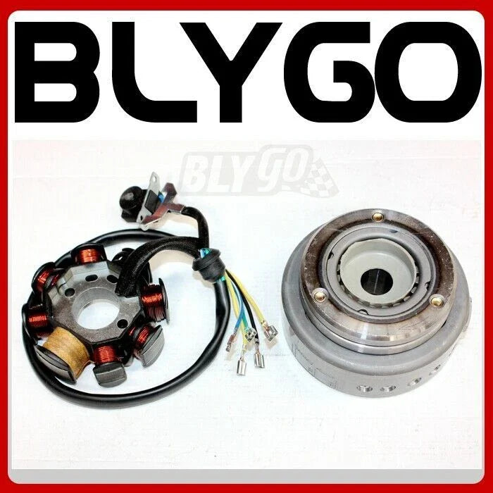250cc PIT Trail Quad Dirt Bike ATV 8 Poles Magneto Stator
