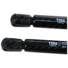 AU BA BF Falcon Fairmont Wagon Rear Tailgate Gas Struts (1998 - 2012)