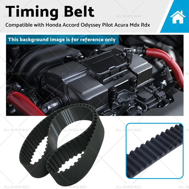 Honda Accord, Odyssey, Pilot, Acura MDX, RDX Timing Belt (2003-2023)