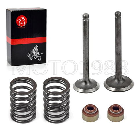 Club Car DS 1992-Up FE290 Intake Exhaust Valve Set w/ Seals & Springs