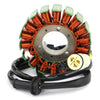 Husqvarna TE SM 610 630 107mm Alternator Stator (2007-2009)