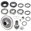 Honda TRX250 / Recon 250 Rear Differential Pinion Ring Gear Bearings Kit