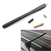Universal Car AM / FM Radio 21cm Black Roof Antenna Mast