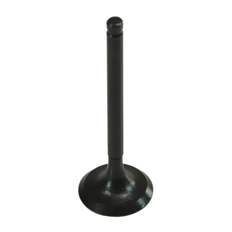 Kawasaki KFX90 Intake Valve