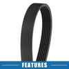 Chevrolet Corvette Serpentine Belt 5.7L