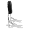Harley Softail Fat Bob Sissy Bar Backrest Docking Hardware (2018-2025)