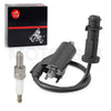 Arctic Cat 550 700 1000 Ignition Coil Pack & Spark Plug + Cap (2009–2016)