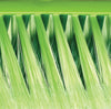 Sabco Broom-Xtra Sweep Long Handle SAB21054
