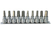 SP Tools Socket Rail 3/8"Dr Inhex Metric/SAE 10Pc