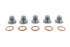 Vaico Sump Plug M14 x 1.25mm V42-0259