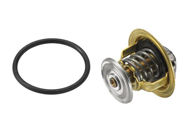 Wahler Thermostat 4820.87D