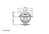 Wahler Thermostat 4820.87D