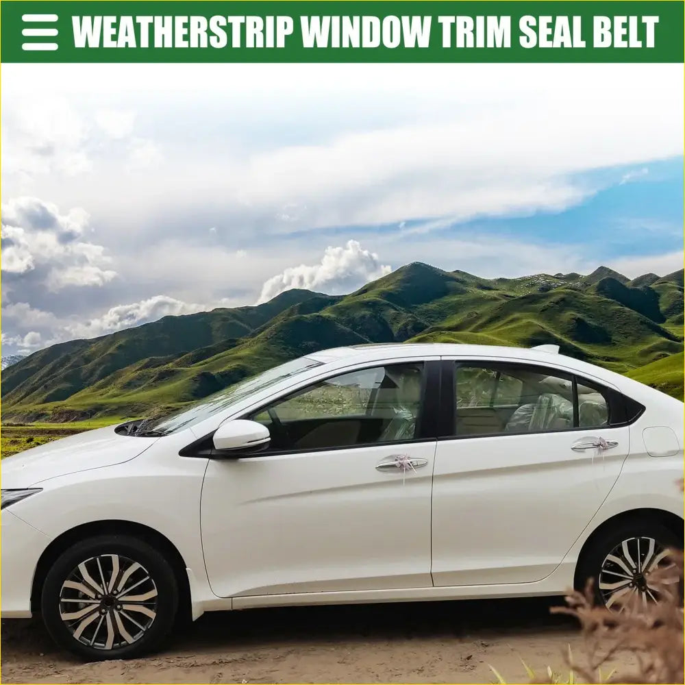 Window Weatherstrip Trim Seal Belt Kit Outer for Toyota Prius - Engine